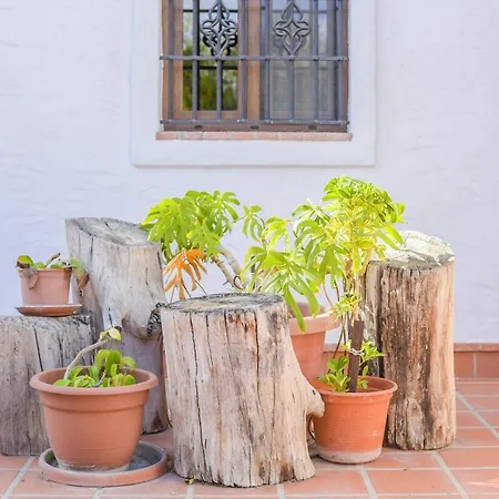 El Pino Apartment Barbate